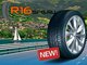 Новинка — летние шины Semperit Speed-Life 2 от компании Continental