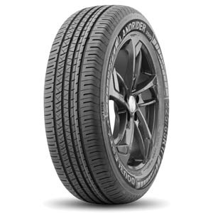 Летняя шина Doublestar DS09 225/60 R18 100H